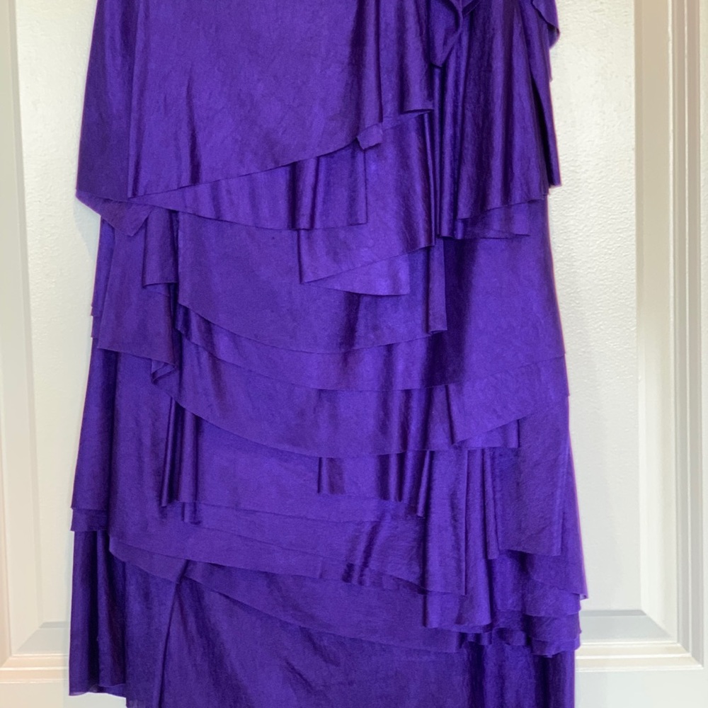 BCBG One Shoulder Ruffle Dress - Picture 5 of 5